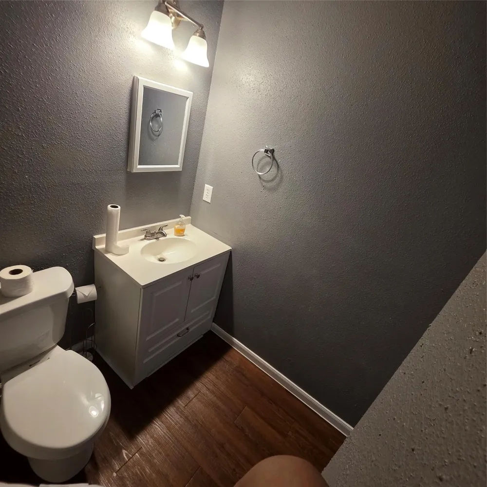 23535 Tree House Lane Spring, TX 77373