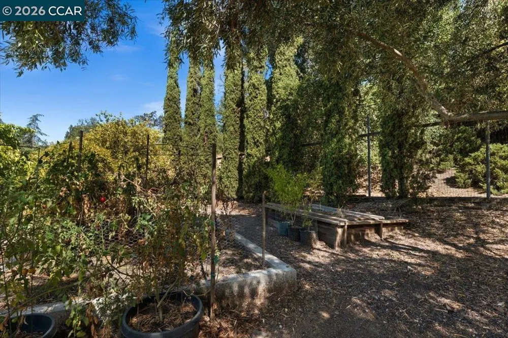 418 Marshall Drive Walnut Creek, CA 94598