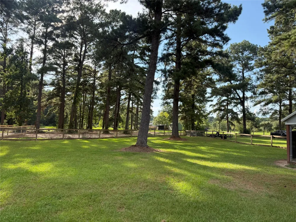 1365 County Road 2224 Cleveland, TX 77327