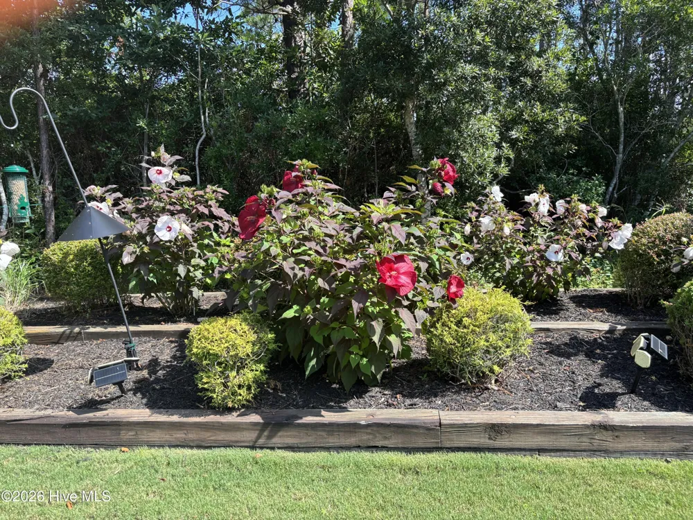 3693 Wingfoot Drive Southport, NC 28461