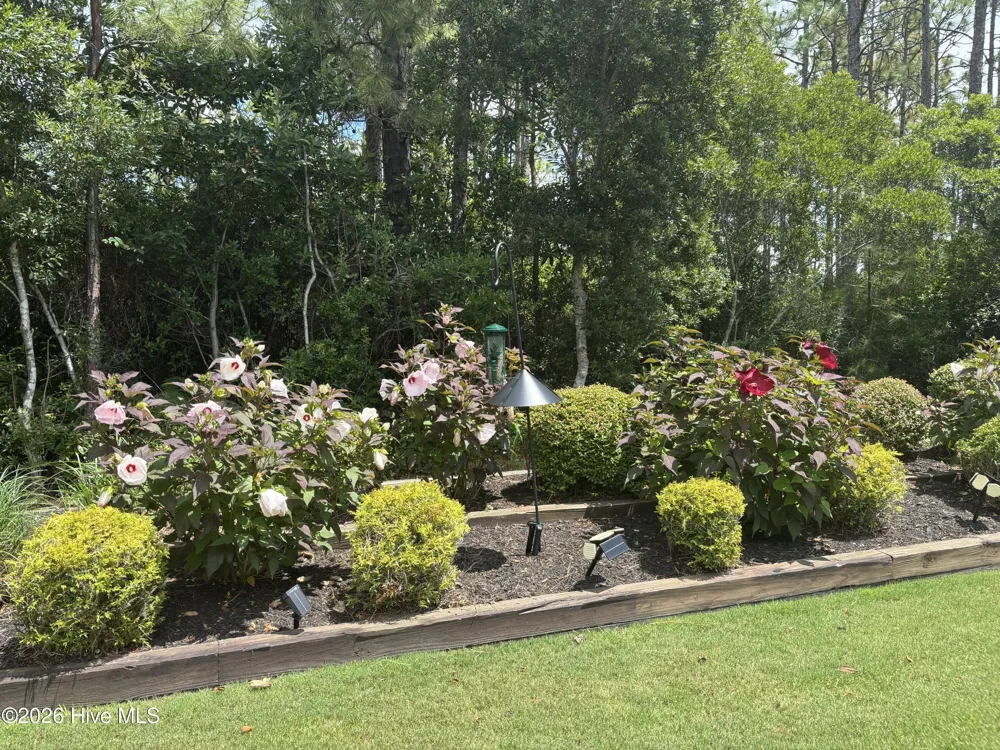 3693 Wingfoot Drive Southport, NC 28461