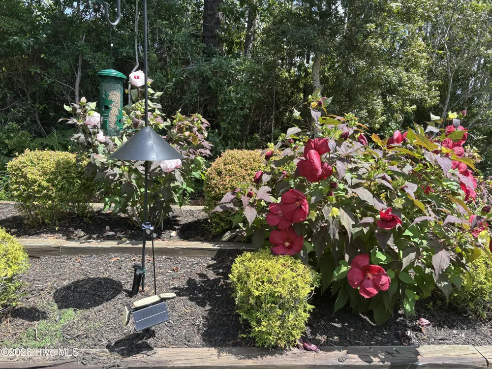 3693 Wingfoot Drive Southport, NC 28461