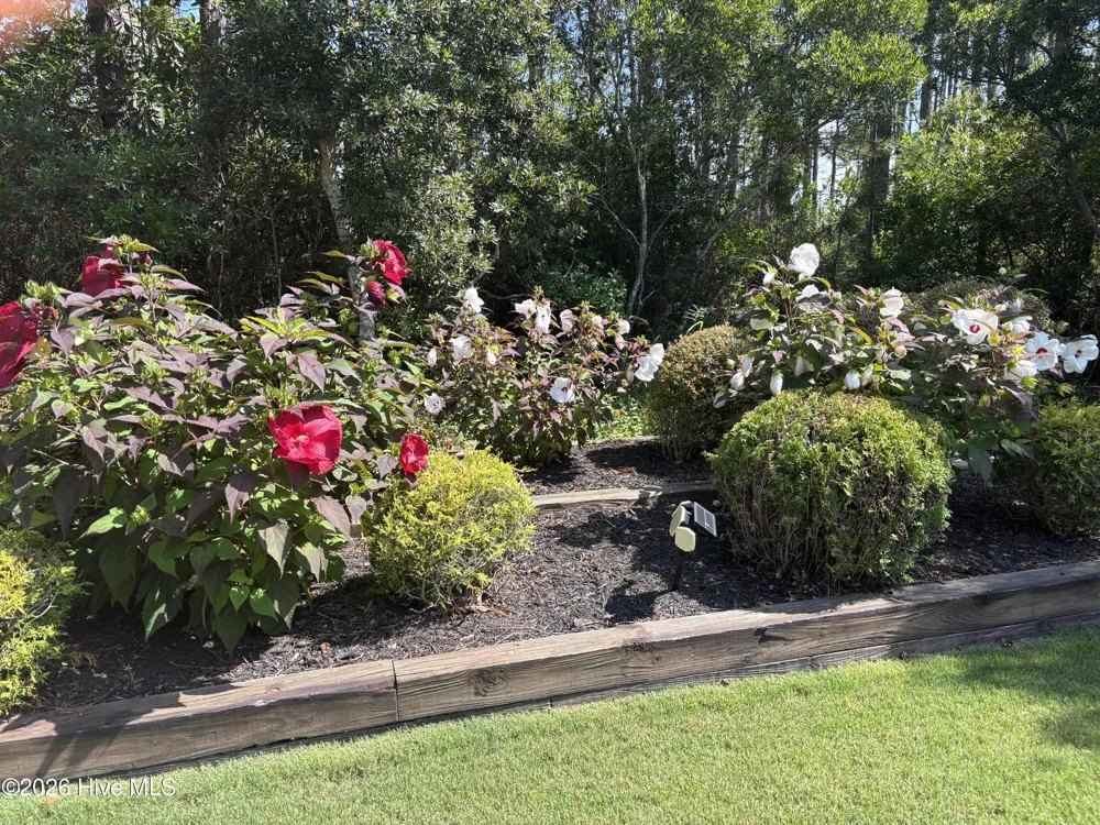 3693 Wingfoot Drive Southport, NC 28461