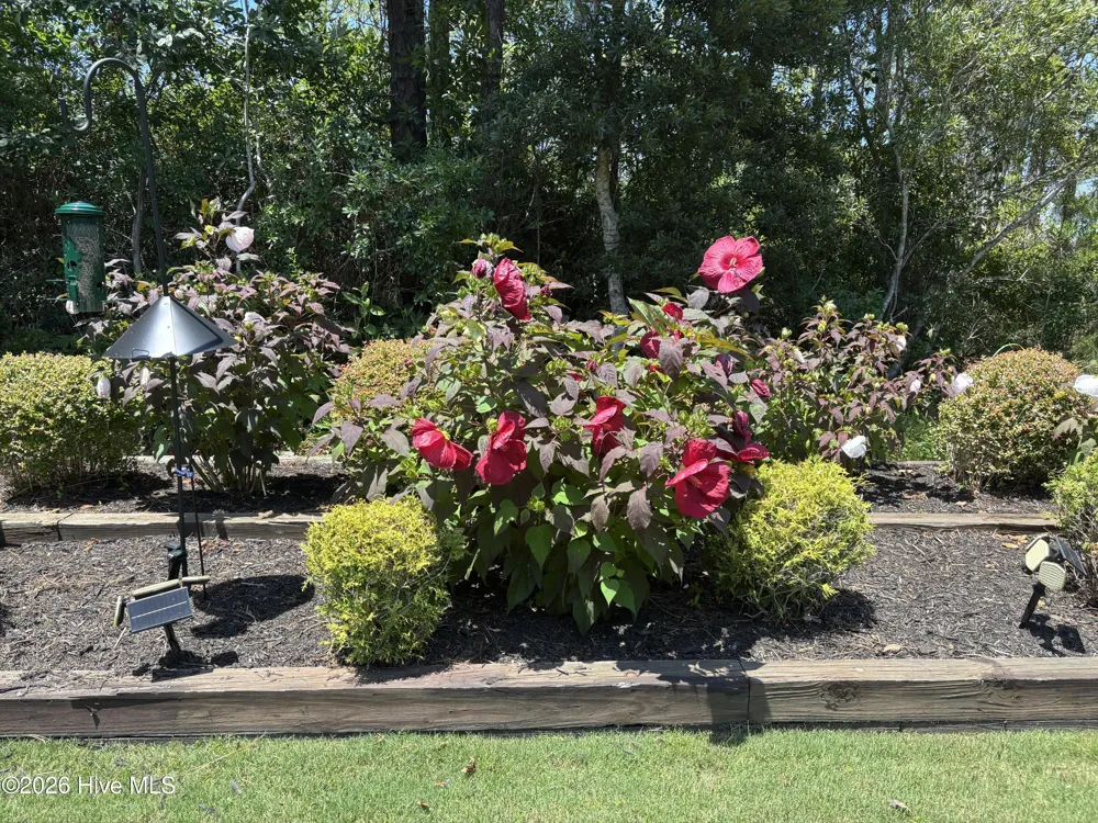 3693 Wingfoot Drive Southport, NC 28461