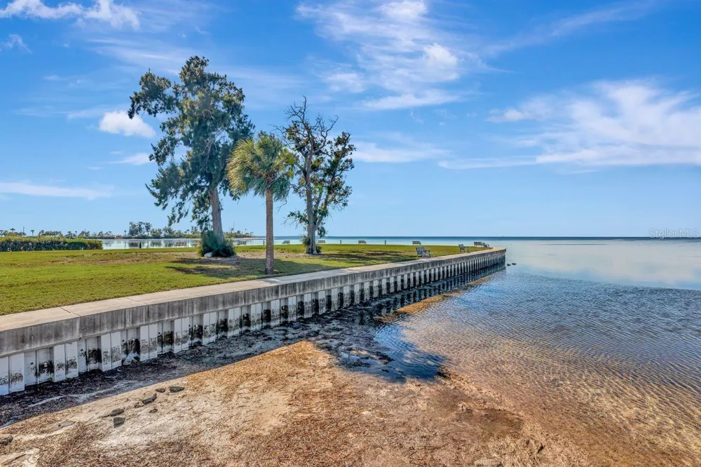 341 WINDRUSH LOOP #341 Tarpon Springs, FL 34689