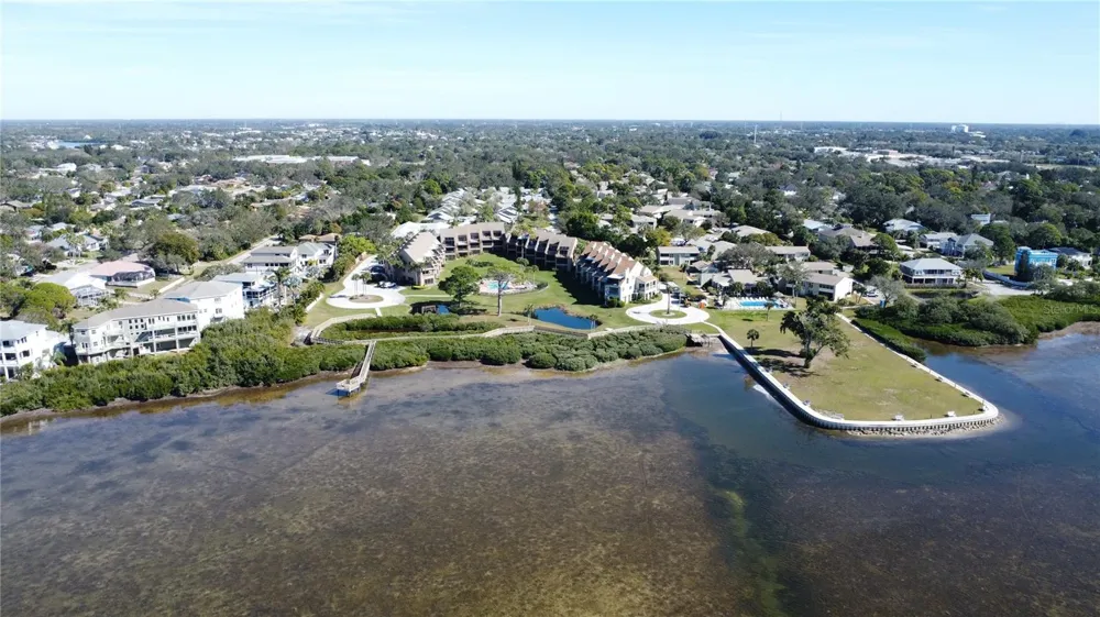 341 WINDRUSH LOOP #341 Tarpon Springs, FL 34689