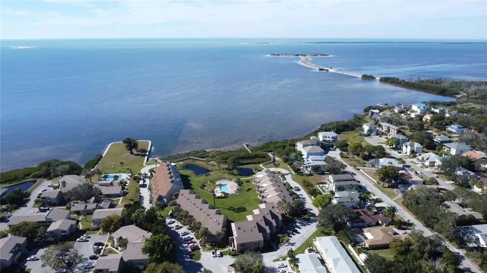 341 WINDRUSH LOOP #341 Tarpon Springs, FL 34689