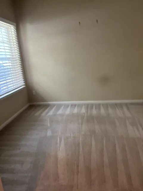 1810 Hidden Springs Path Round Rock, TX 78665