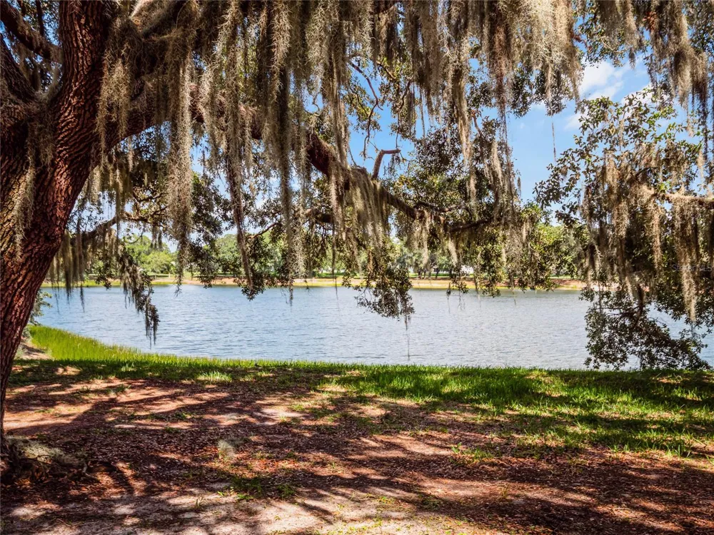 26616 EVERT STREET Leesburg, FL 34748
