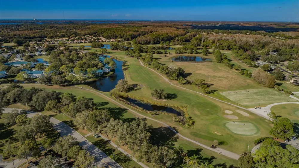 3380 CRYSTAL COURT E #P Palm Harbor, FL 34685