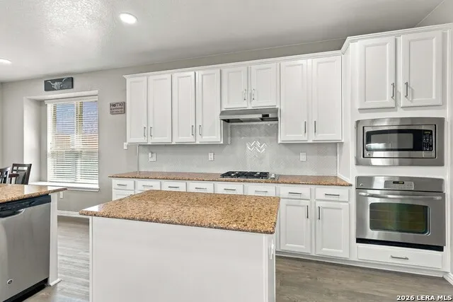 25022 ELWELL PT San Antonio, TX 78255