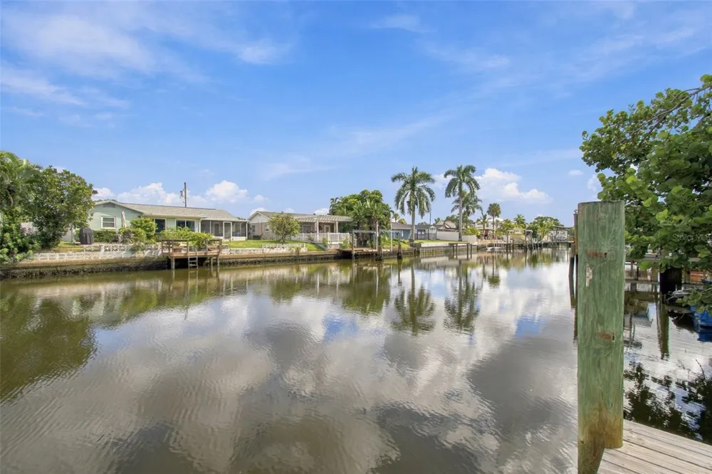 8725 THORNWOOD LANE Tampa, FL 33615