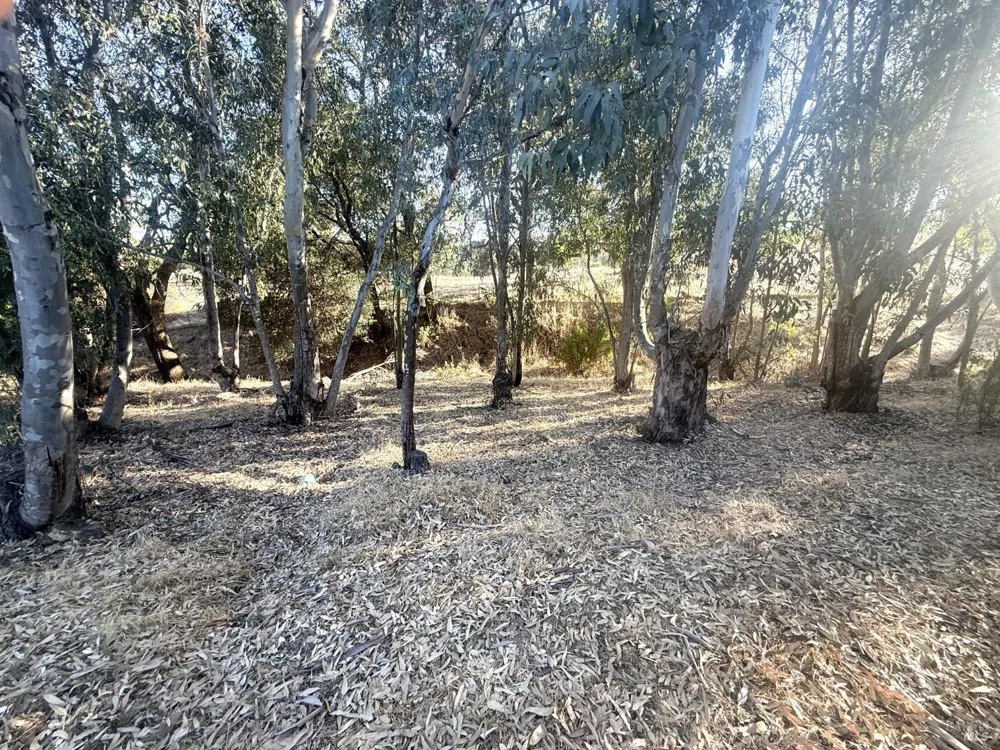3966 Rustic Lane Vacaville, CA 95688