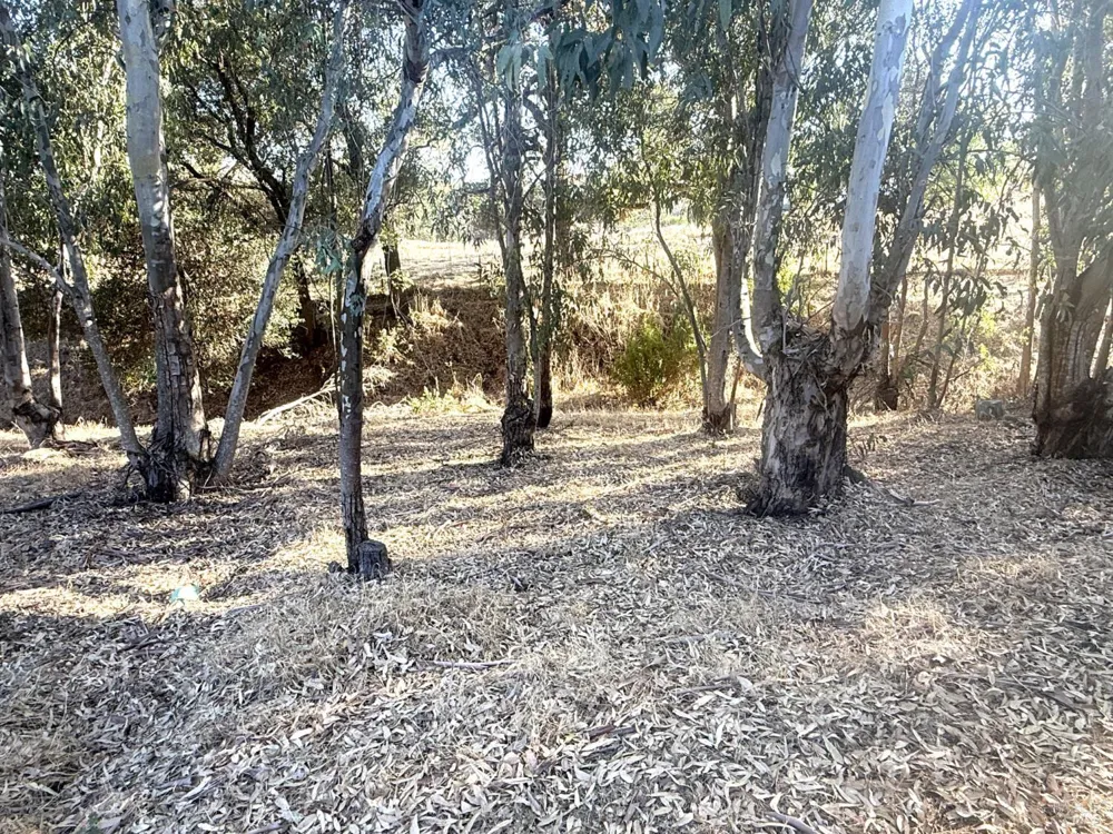 3966 Rustic Lane Vacaville, CA 95688