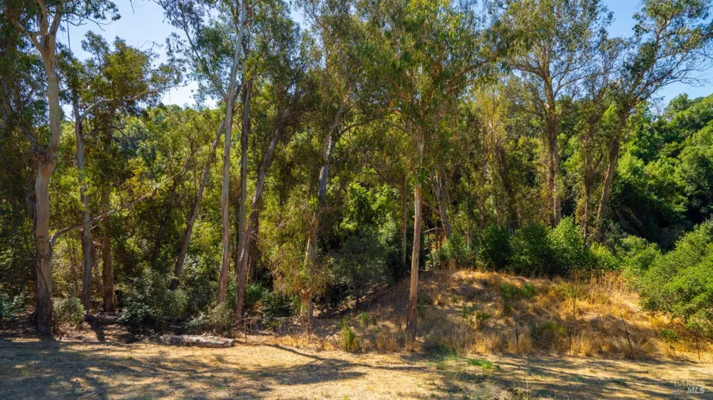 1889 Chantilly Lane Hayward, CA 94541