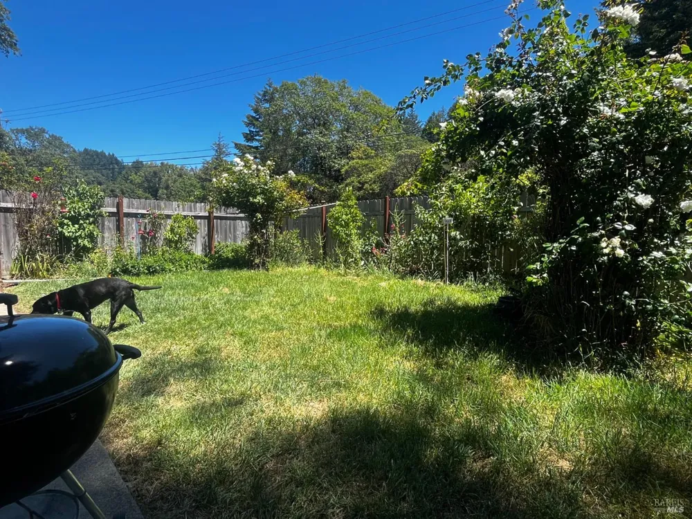 1700 Ca-20 Highway Willits, CA 95490
