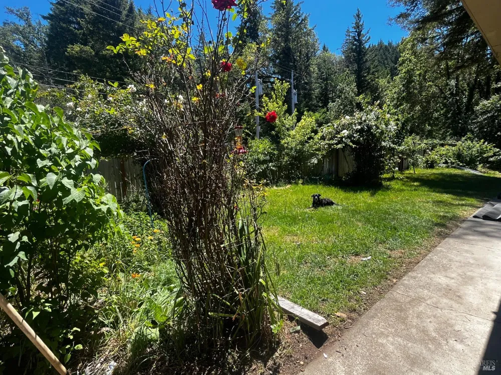 1700 Ca-20 Highway Willits, CA 95490