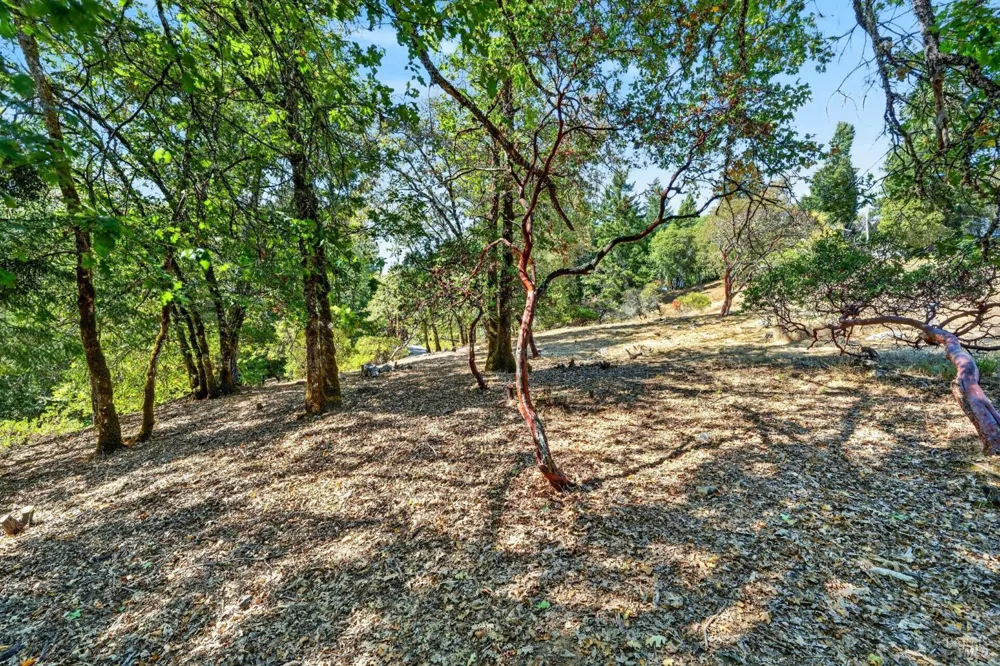 1755 Lupine Drive Willits, CA 95490
