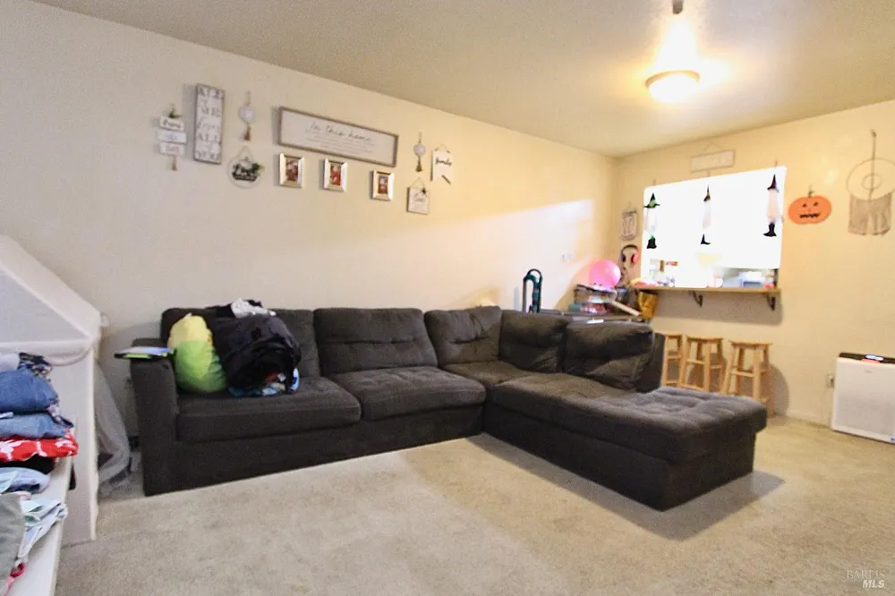 14565 Canyon 1 Road Guerneville, CA 95446