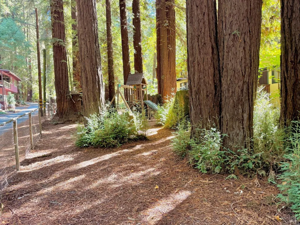 14565 Canyon 1 Road Guerneville, CA 95446