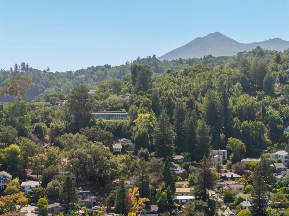 7 Jessup Street San Rafael, CA 94901