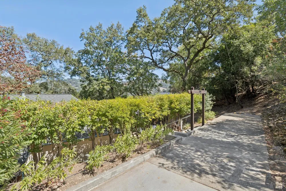 7 Jessup Street San Rafael, CA 94901