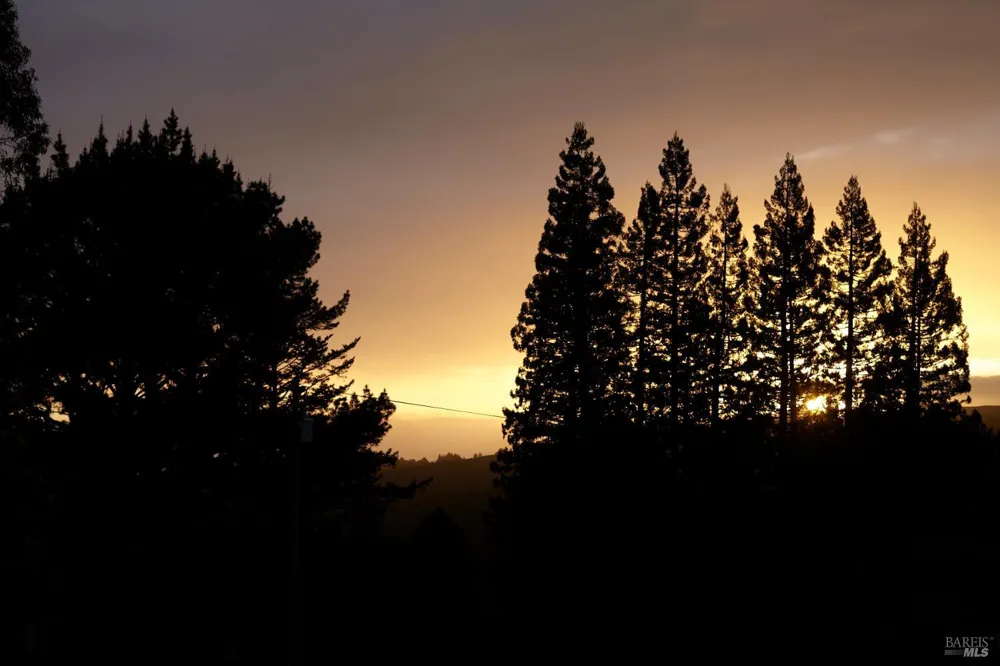 13 Ridge Avenue Mill Valley, CA 94941