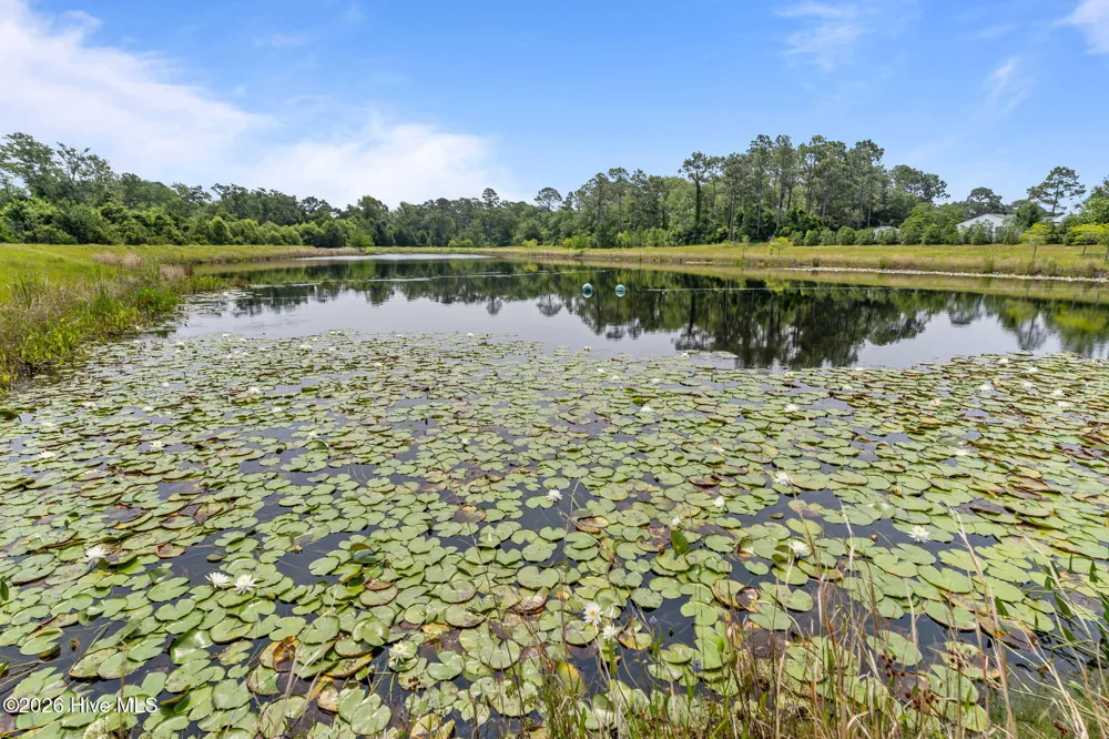 2257 Whiskey Branch Drive Wilmington, NC 28409