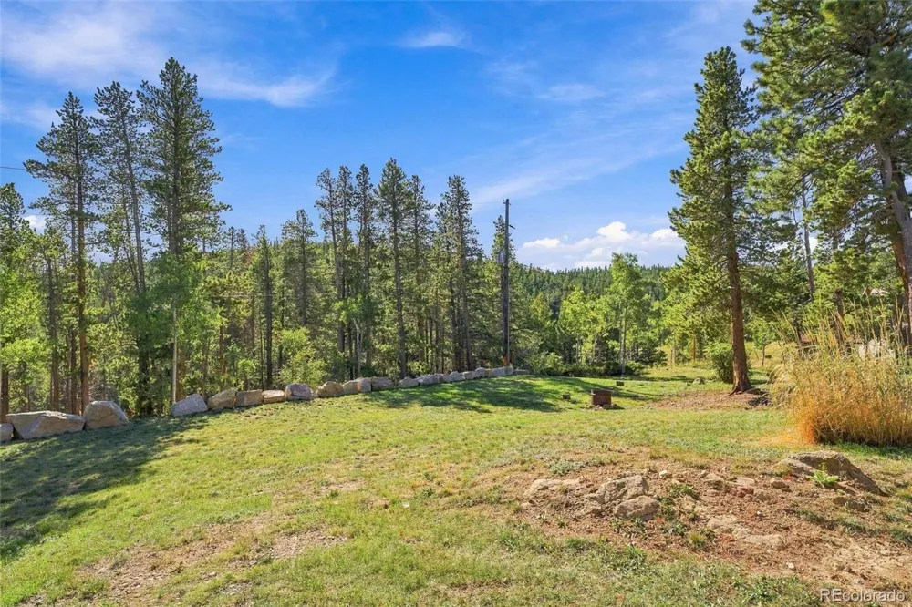 563 Pine Cone Circle Ward, CO 80481