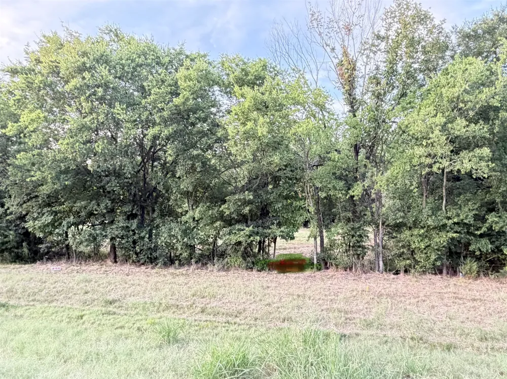 Fm-2728 Road #3 Terrell, TX 75161