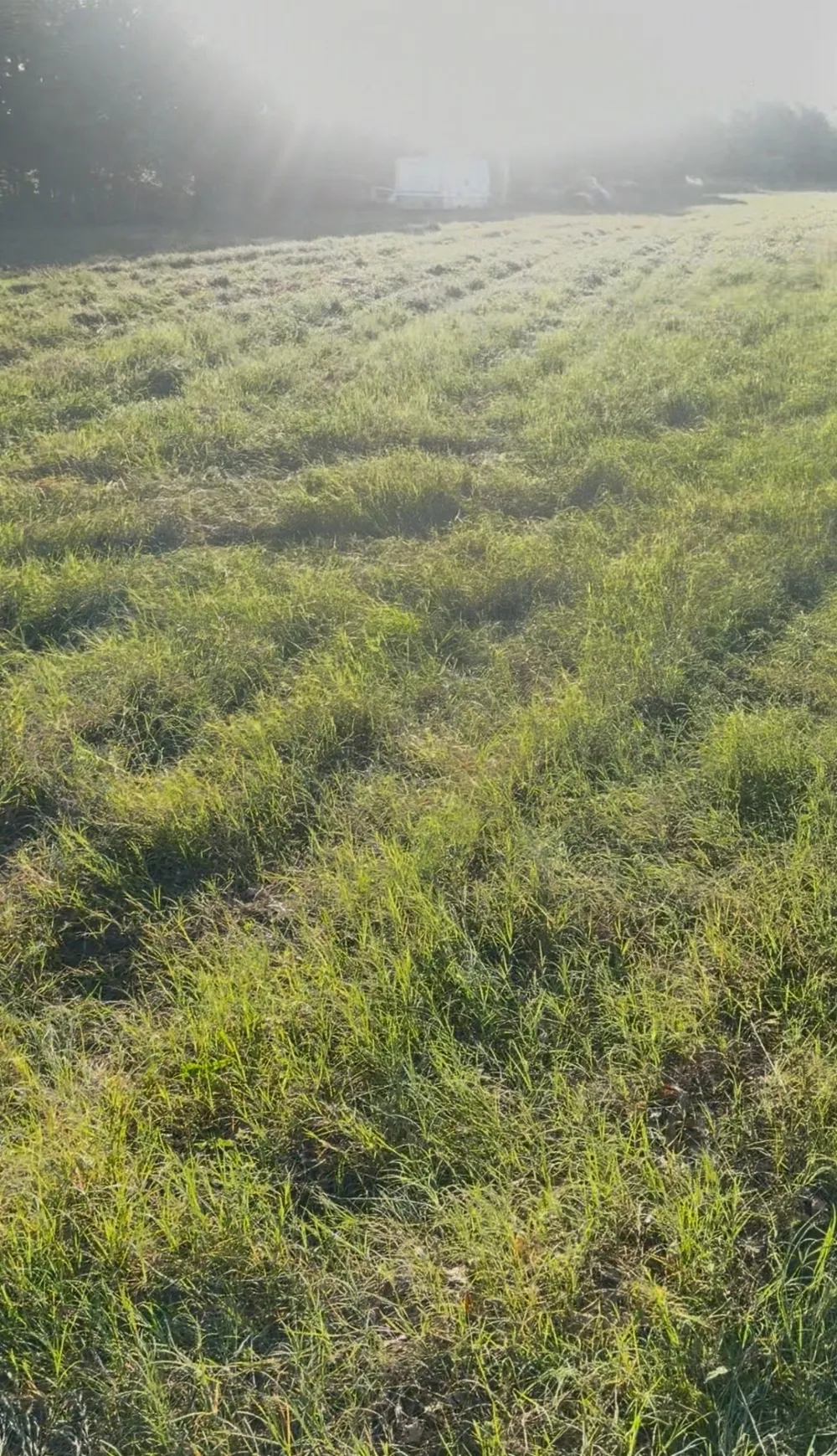 Fm-2728 Road #3 Terrell, TX 75161