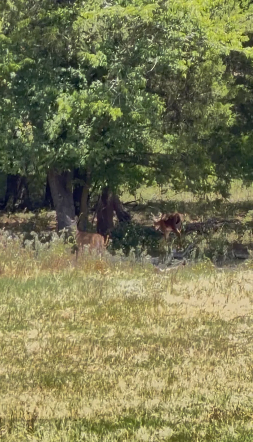 Fm-2728 Road #3 Terrell, TX 75161
