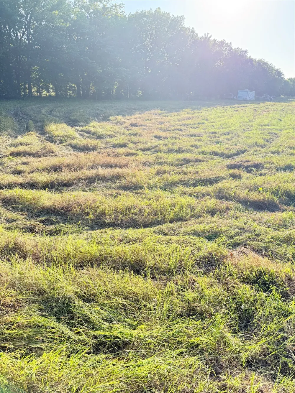 Fm-2728 Road #3 Terrell, TX 75161