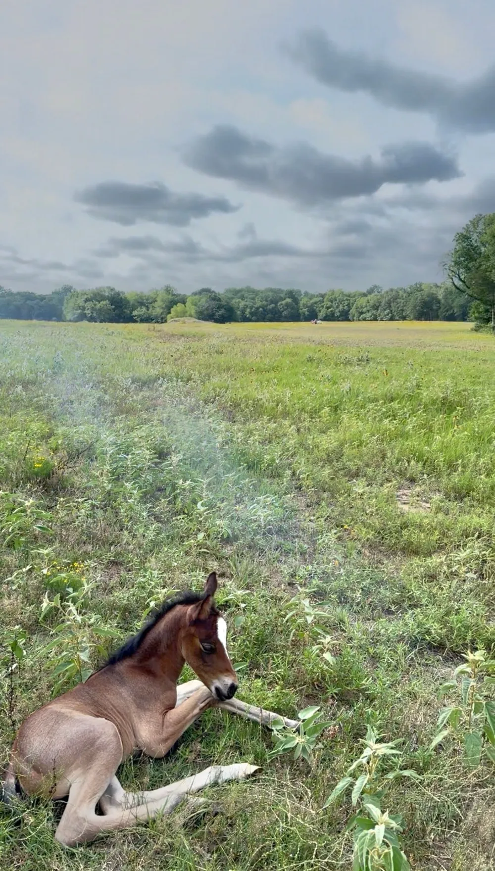 Fm-2728 Road #3 Terrell, TX 75161