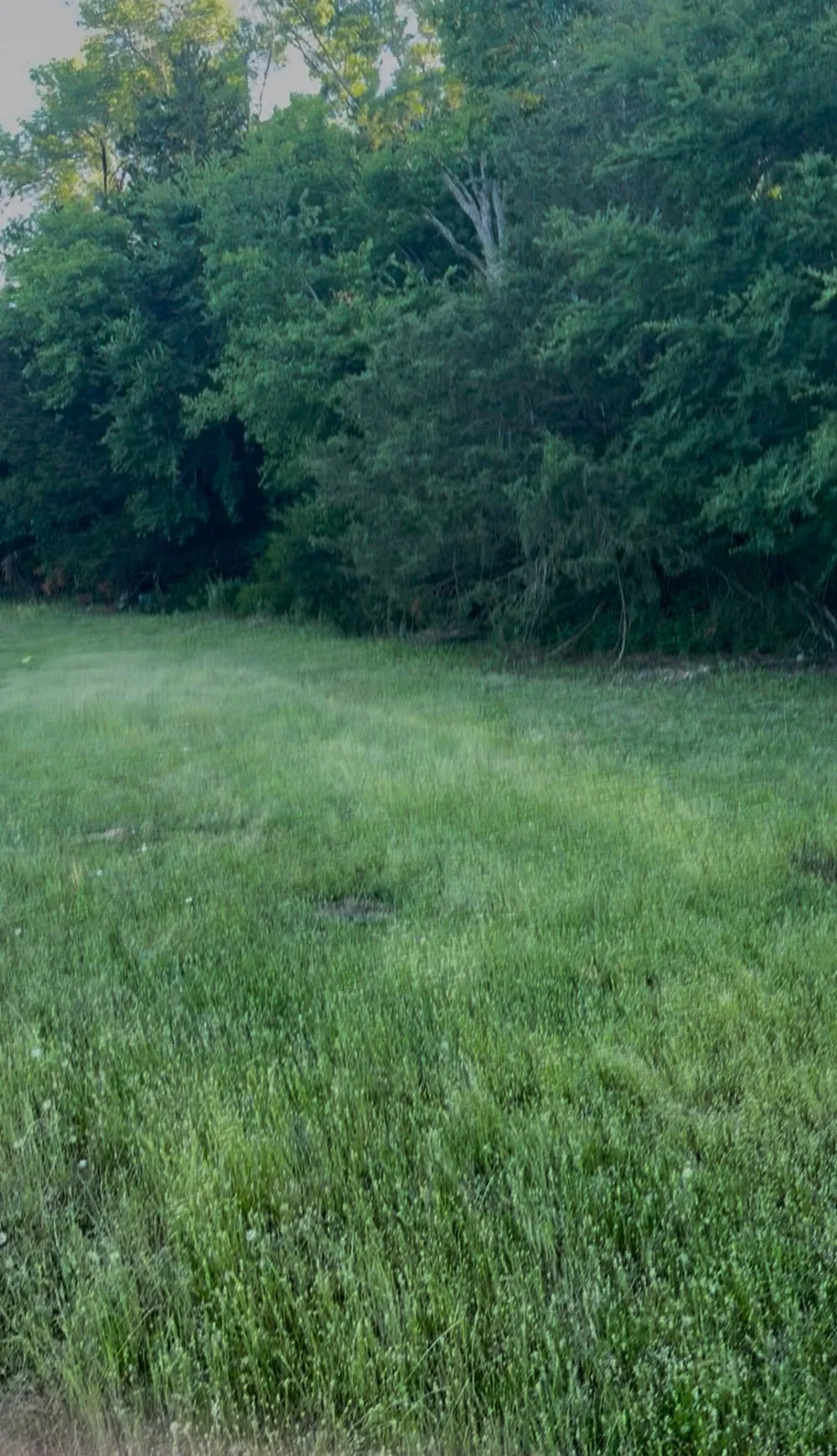 Fm-2728 Road #3 Terrell, TX 75161