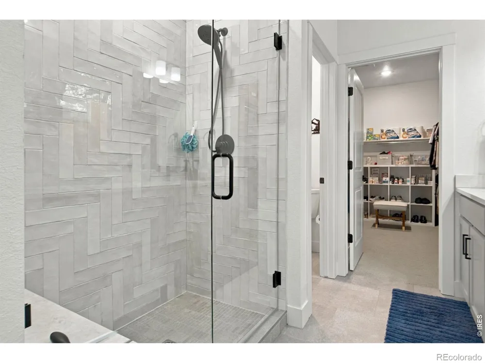 5966 Rendezvous Parkway Timnath, CO 80547