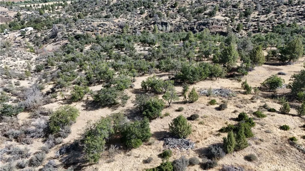Lot 285 /286 Cougar St Hornbrook, CA 96044
