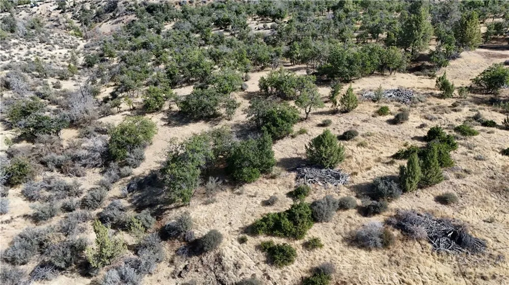 Lot 285 /286 Cougar St Hornbrook, CA 96044