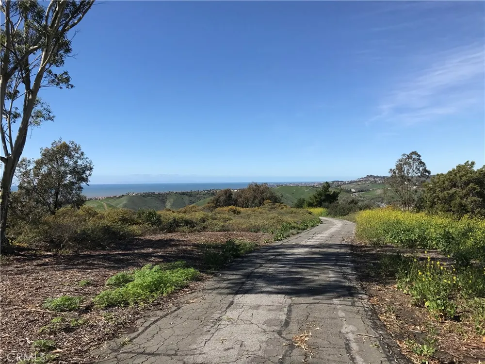 1003 Via Presa San Clemente, CA 92672