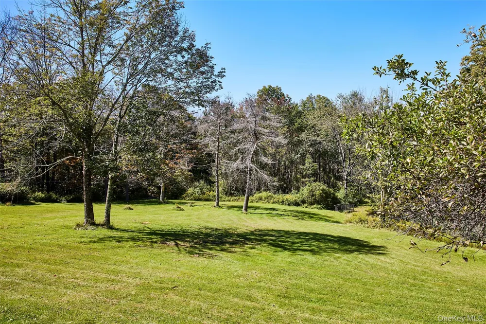 50 Hahn Road Livingston Manor, NY 12758