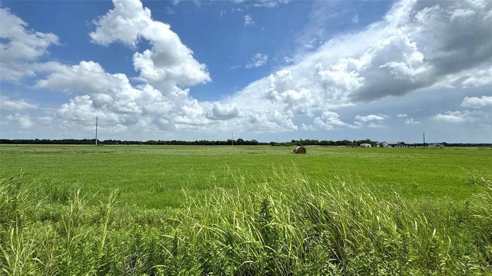 FM 3486 Terrell, TX 75160