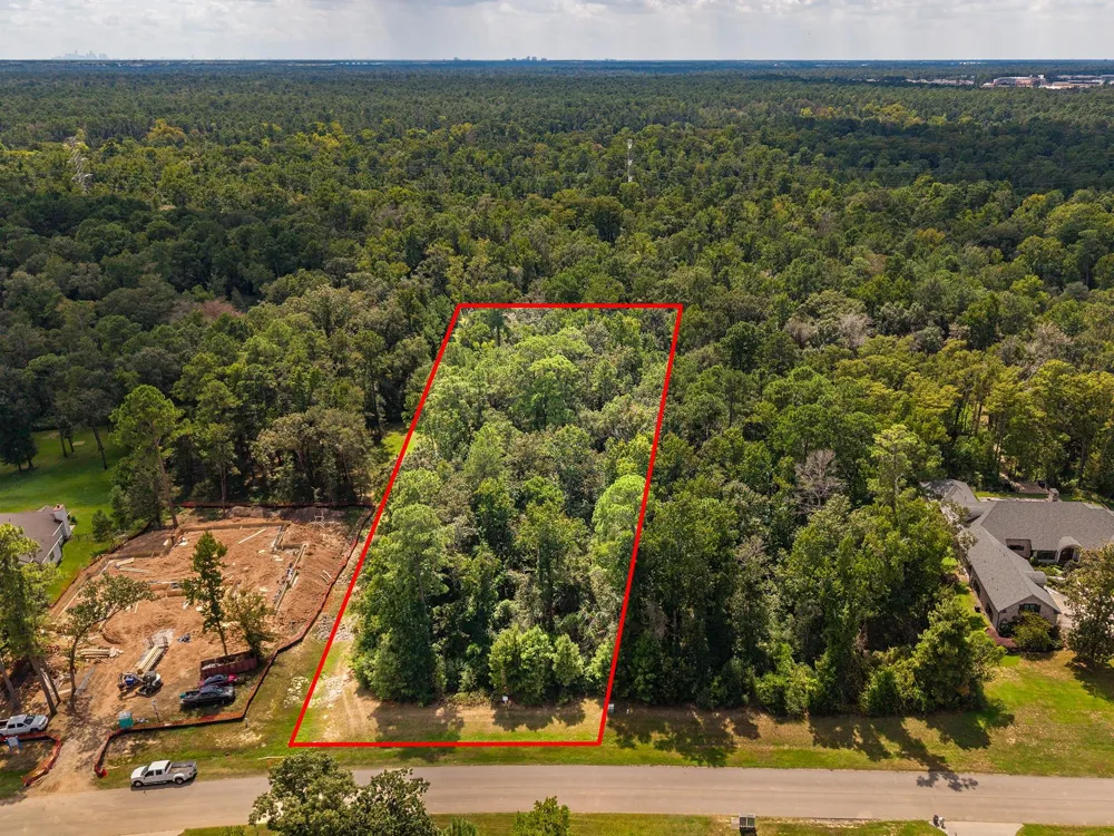 27362 Shady Hills Landing Lane Spring, TX 77386