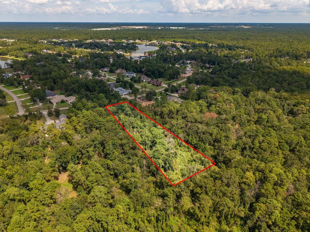 27362 Shady Hills Landing Lane Spring, TX 77386