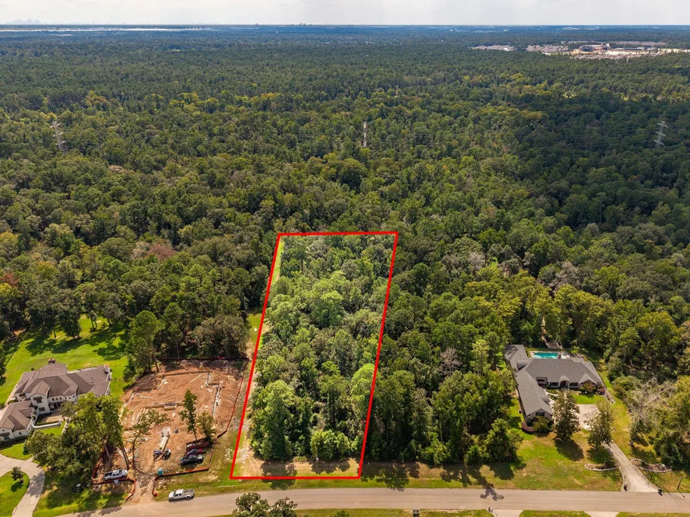 27362 Shady Hills Landing Lane Spring, TX 77386