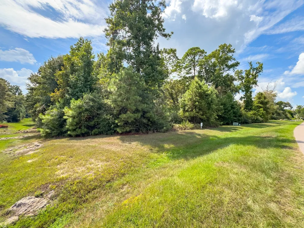 27362 Shady Hills Landing Lane Spring, TX 77386