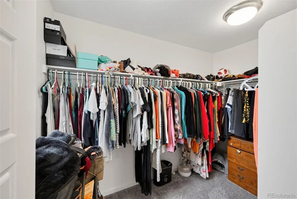 8124 Mount Ouray Road Littleton, CO 80125