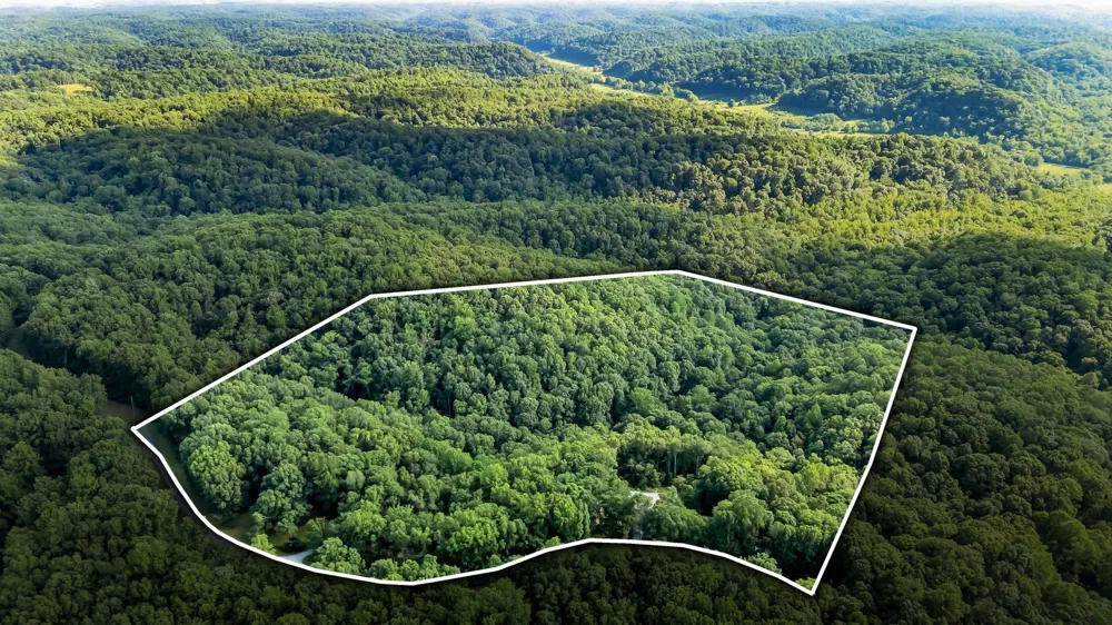 4545 Scenic Hills Ln Franklin, TN 37064
