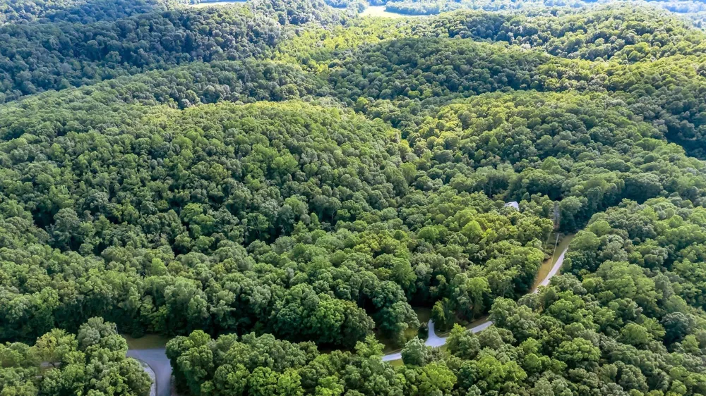 4545 Scenic Hills Ln Franklin, TN 37064