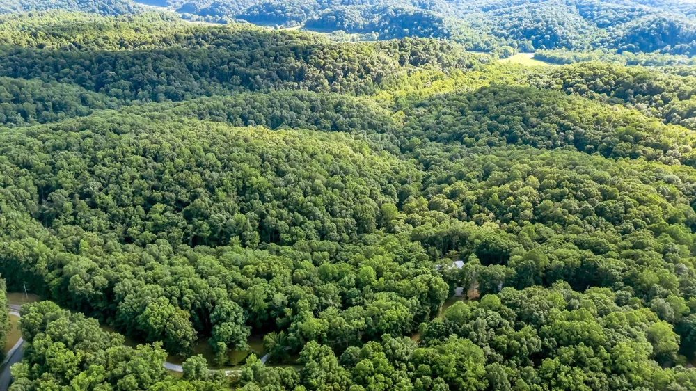 4545 Scenic Hills Ln Franklin, TN 37064