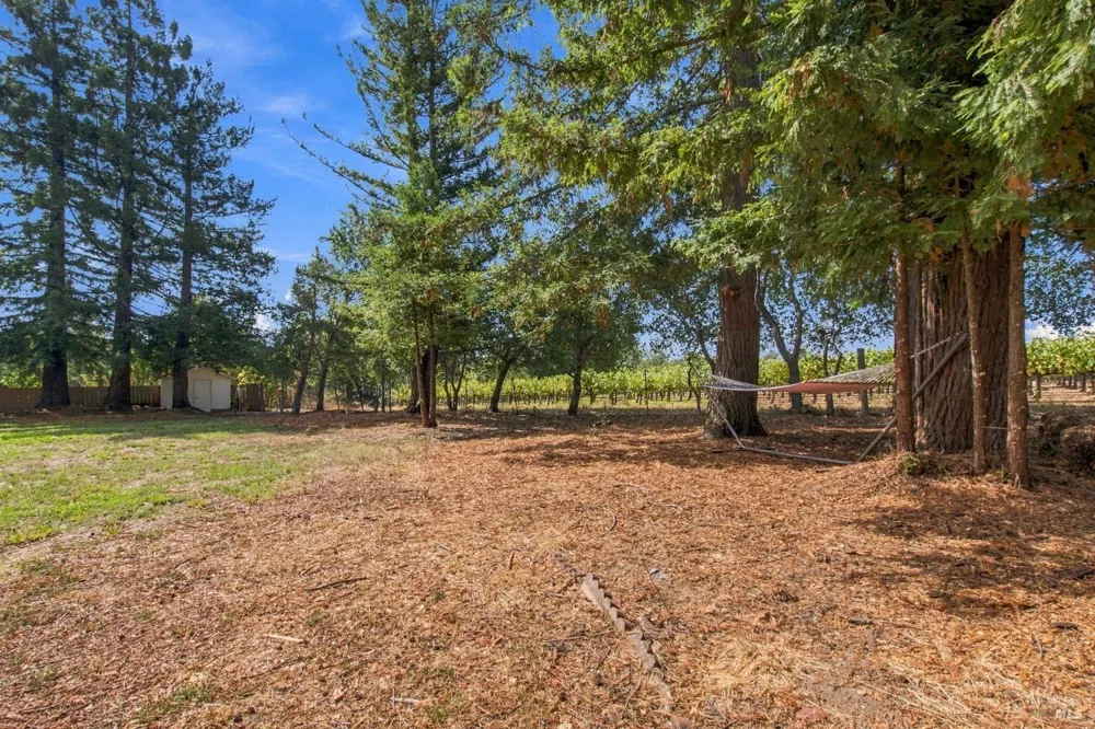 1225 Olive Hill Lane Napa, CA 94558
